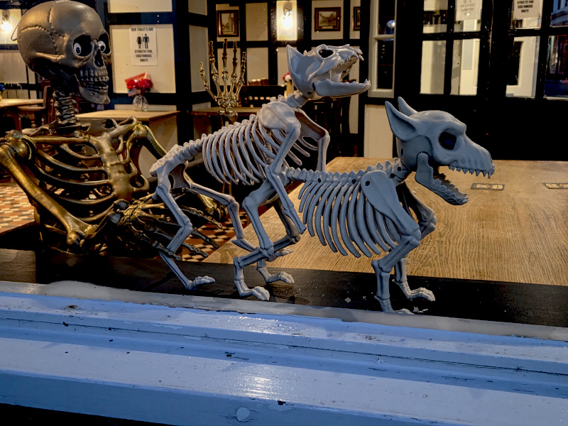 Inside The Volunteer